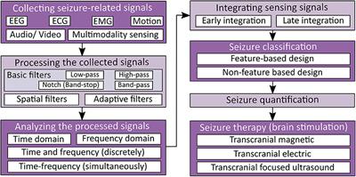 Epileptic Seizure Detection and Experimental Treatment: A Review